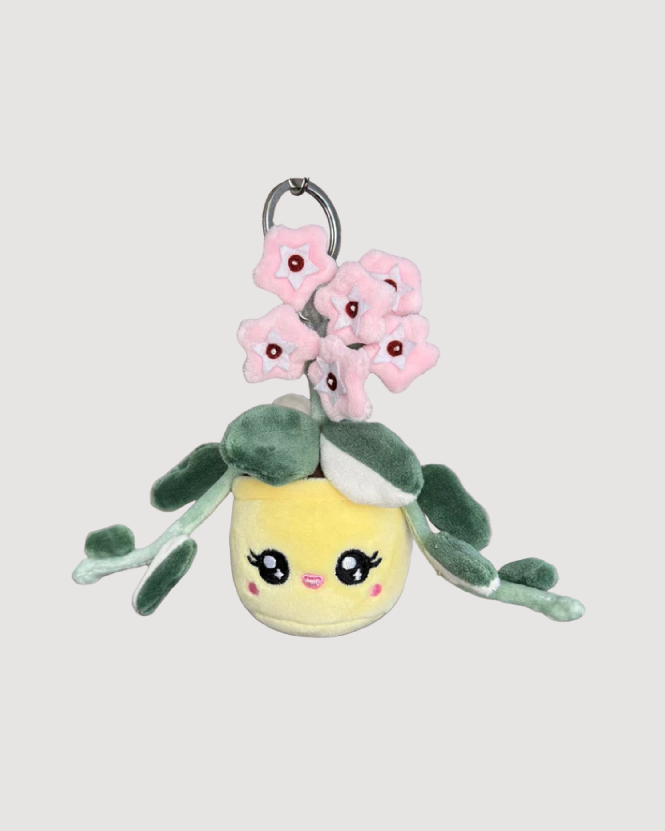 Hoya Carnosa ‘Krimson Queen’ Plush Keychain – 5″ Variegated Houseplant Bag Charm