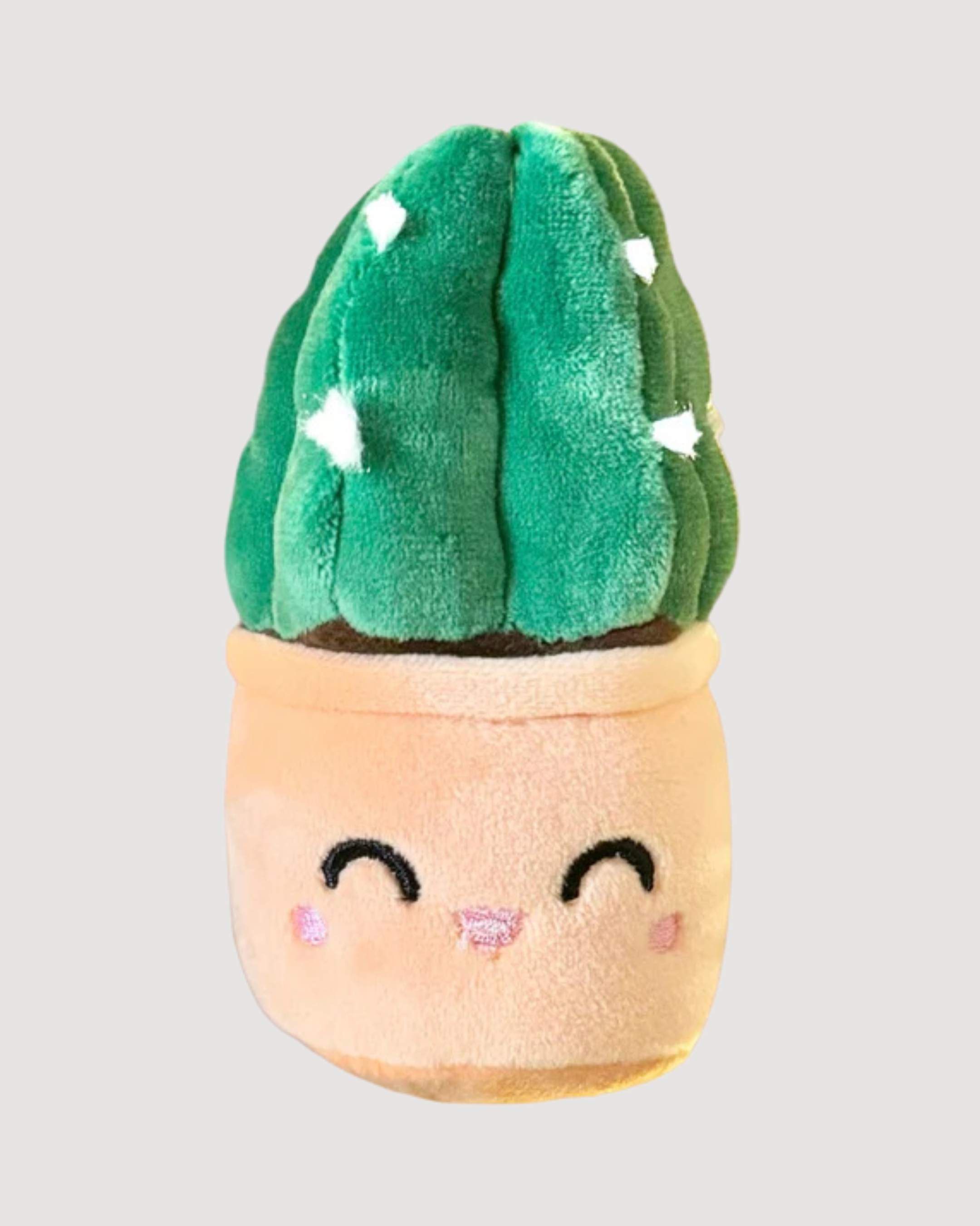 Cuddly Cactus Plush Keychain – 5″ Plant Lover Bag Charm