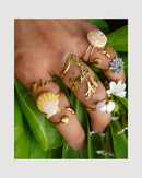 Adjustable Coco Eve Rings - CULTR