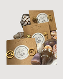 Coco Eve Studs - CULTR