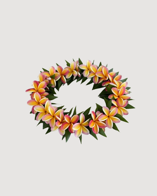 Thick Ti Leaf Plumeria Lei or Lei Po'o - CULTR