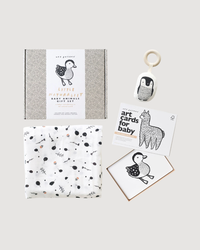 Newborn Baby Gift Set - Baby Animals