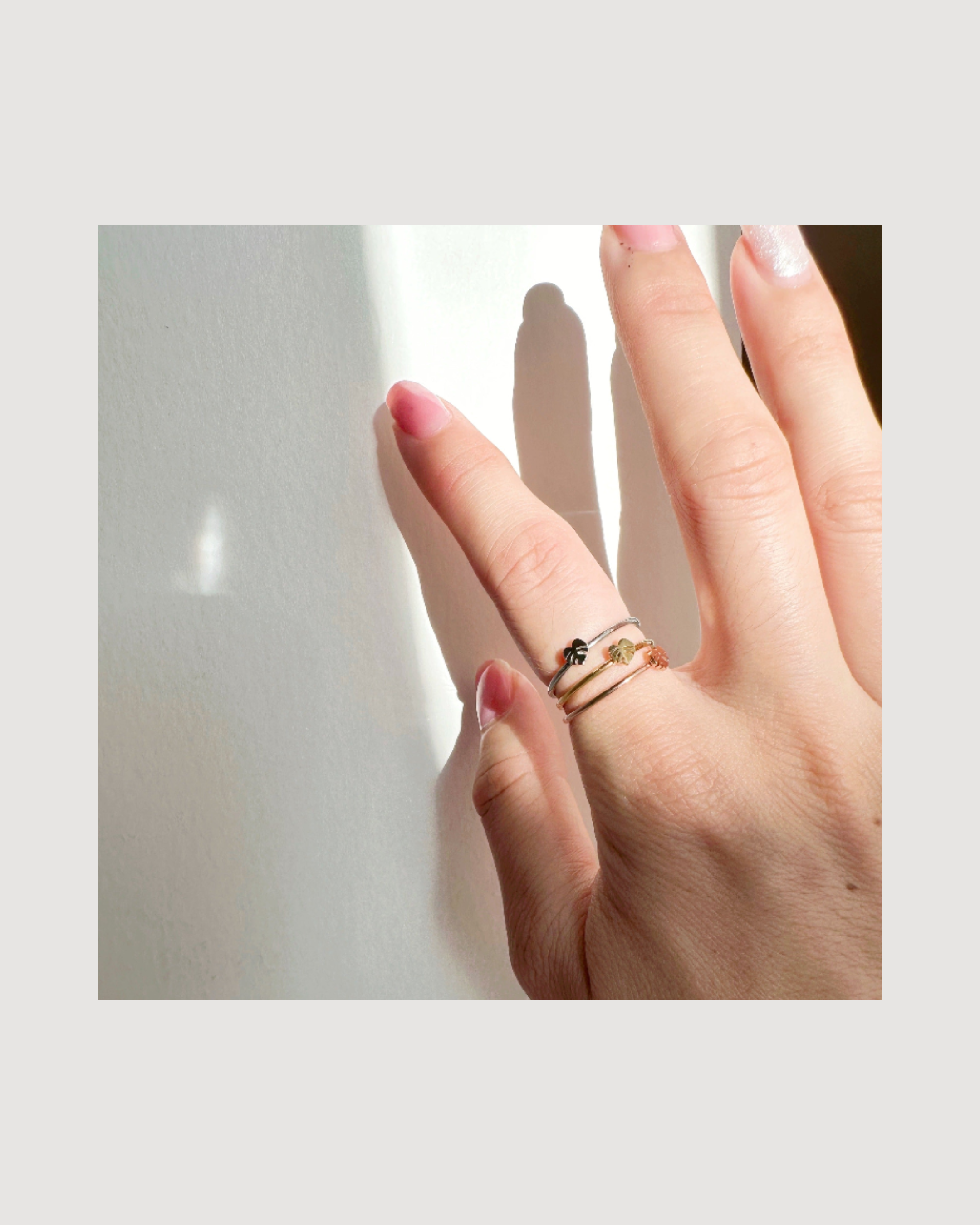 Monstera Deliciosa Dainty Minimal Plant Ring