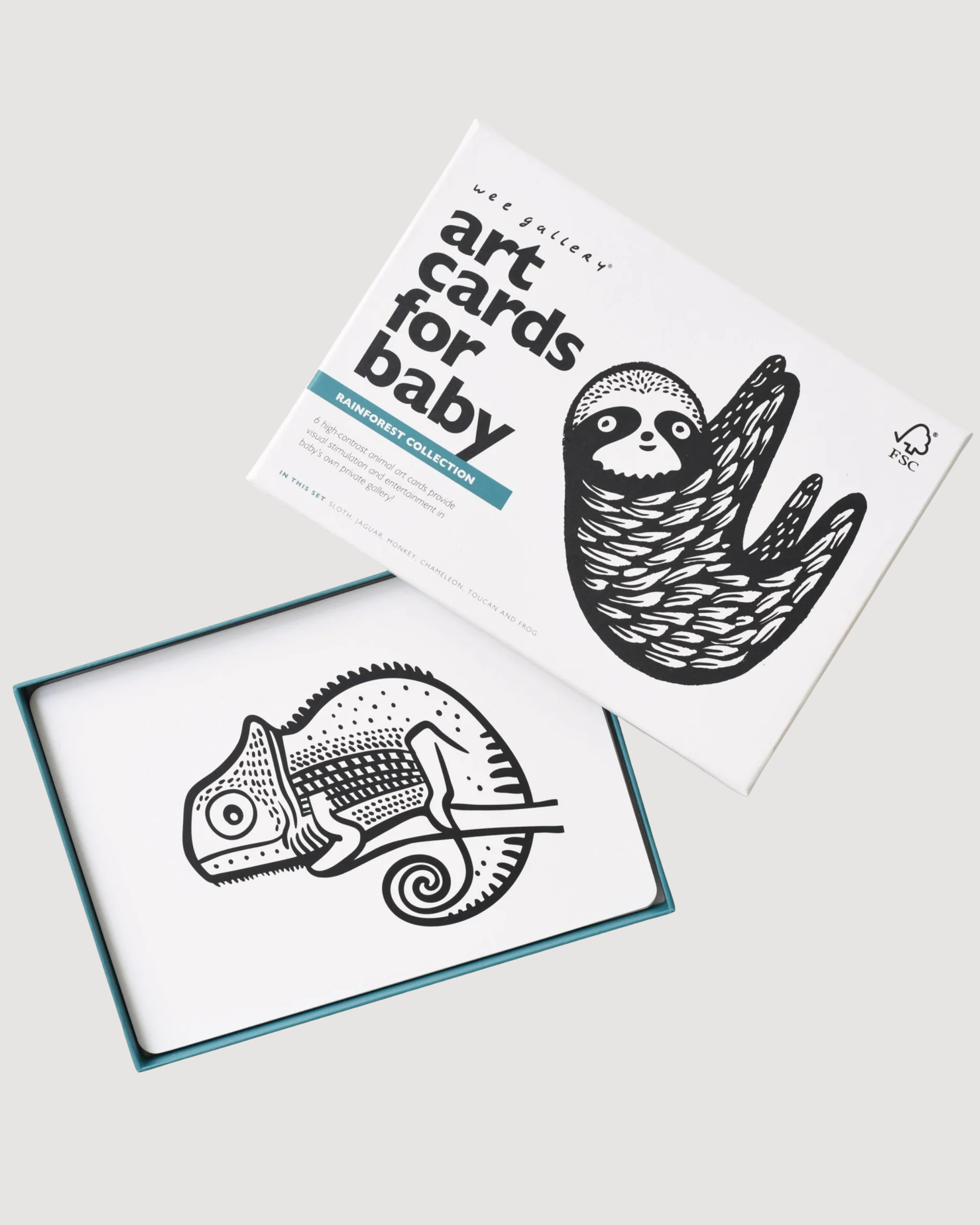 Art Cards for Baby - Rainforest Collection