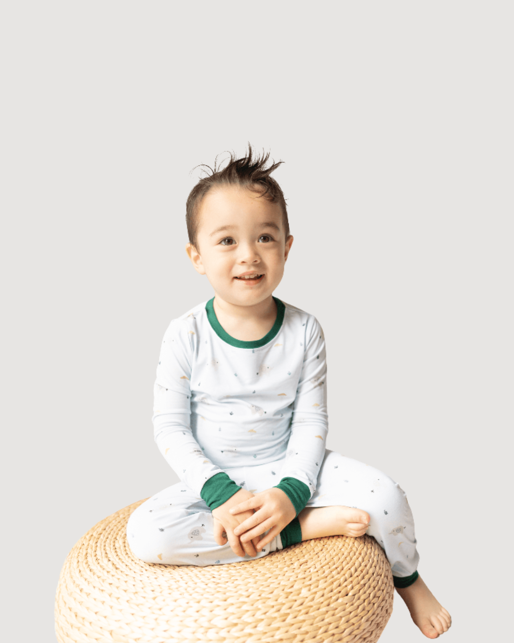 Two Piece Pajamas in Elephant