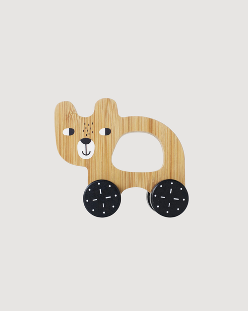 Bear Push Toy