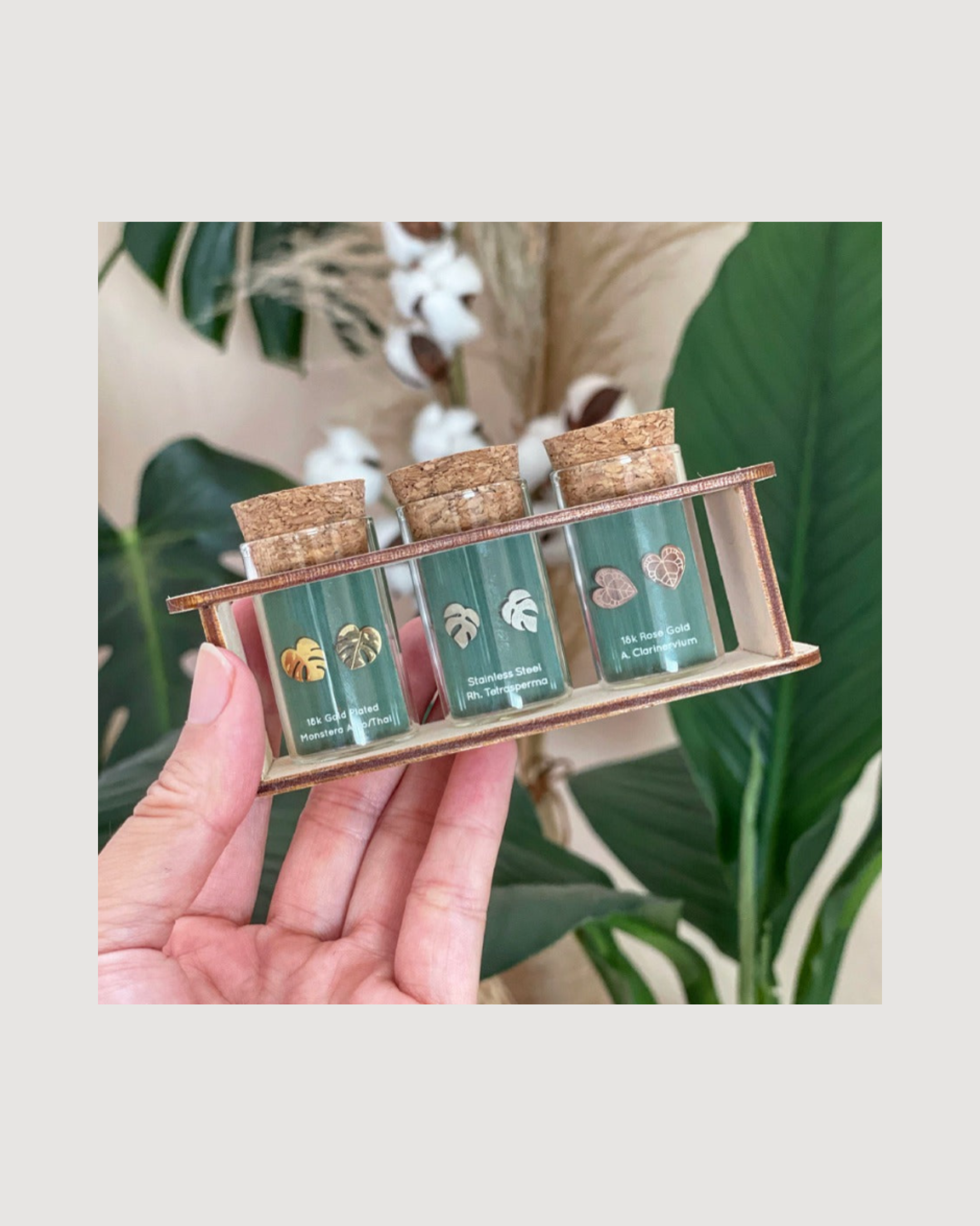 Custom Etched Propagation Stand + 3 Set Tiny Houseplant Earring Studs