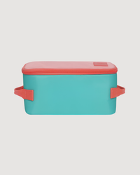 Insulated Cooler Bag / Strawberry Fields