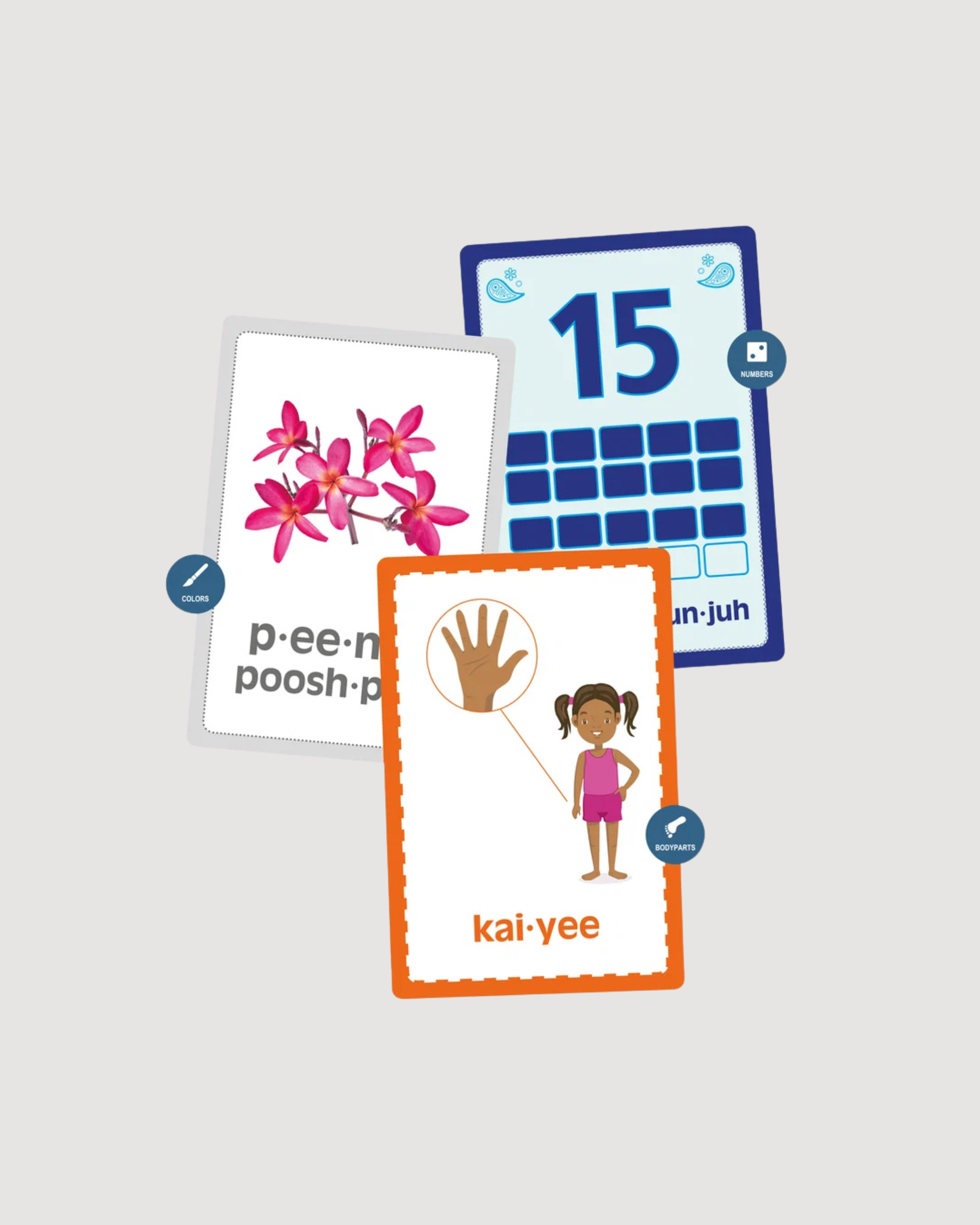 Malayalam Language Set | Malayalam English Flashcards