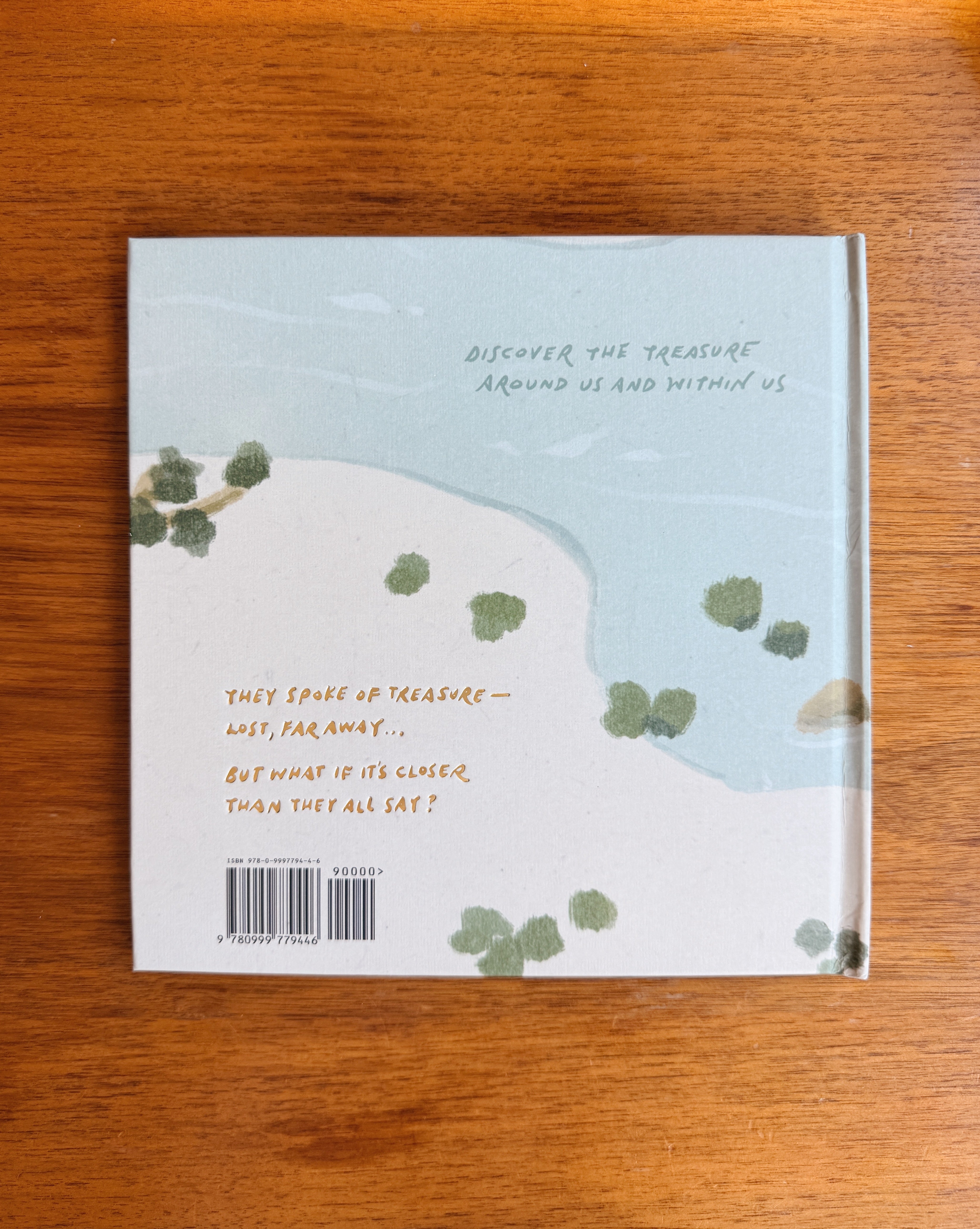 Treasure Everywhere Book