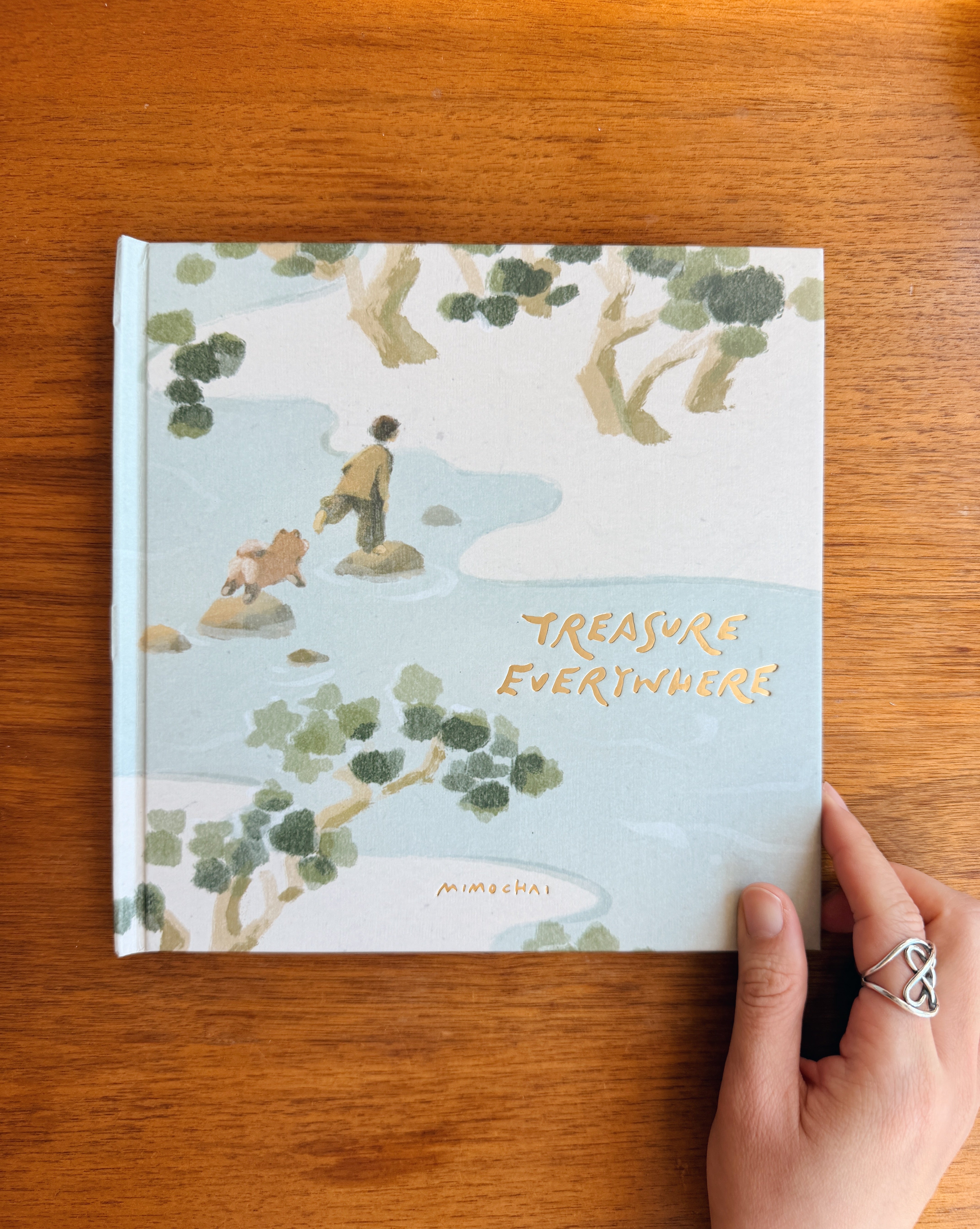 Treasure Everywhere Book