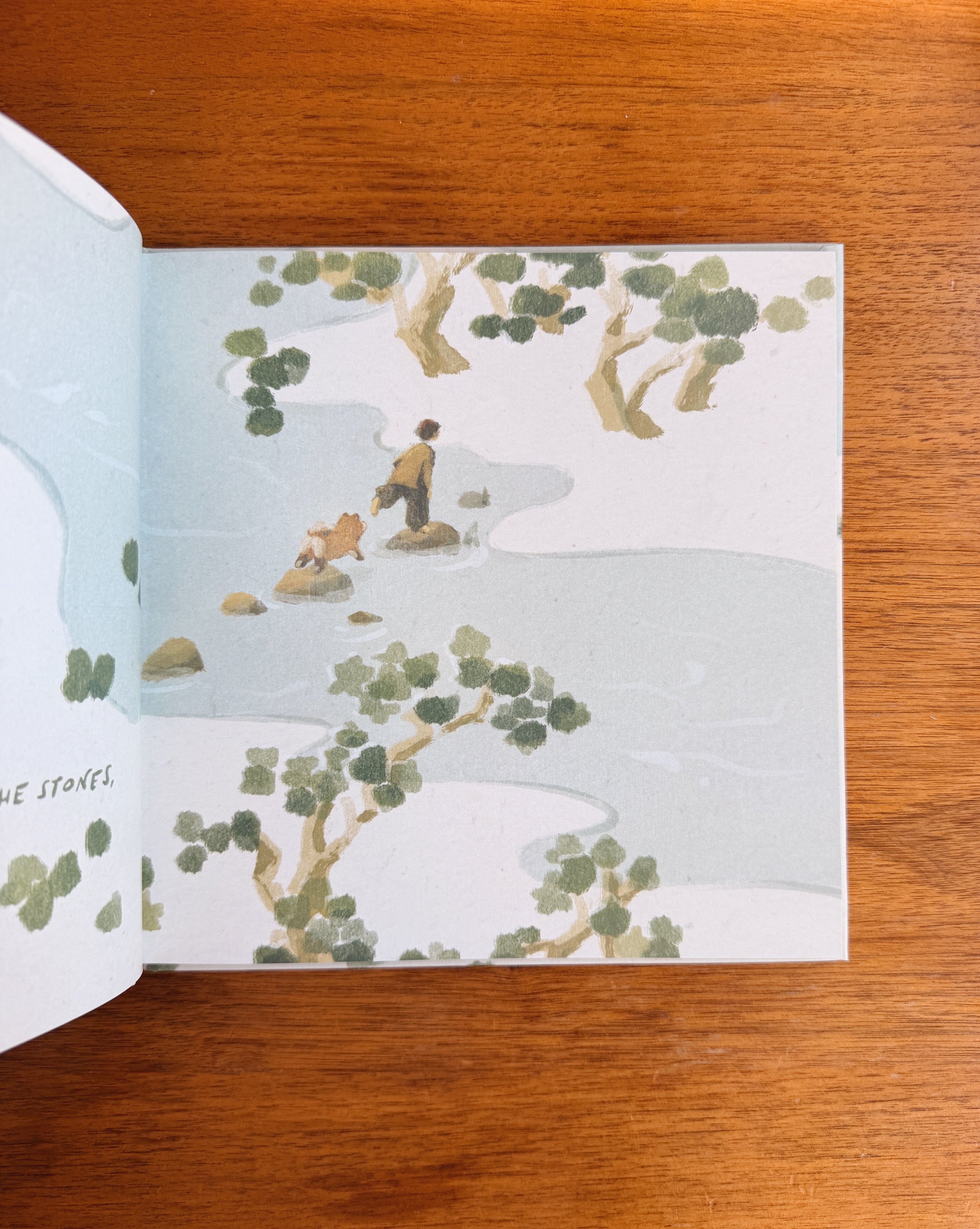 Treasure Everywhere Book