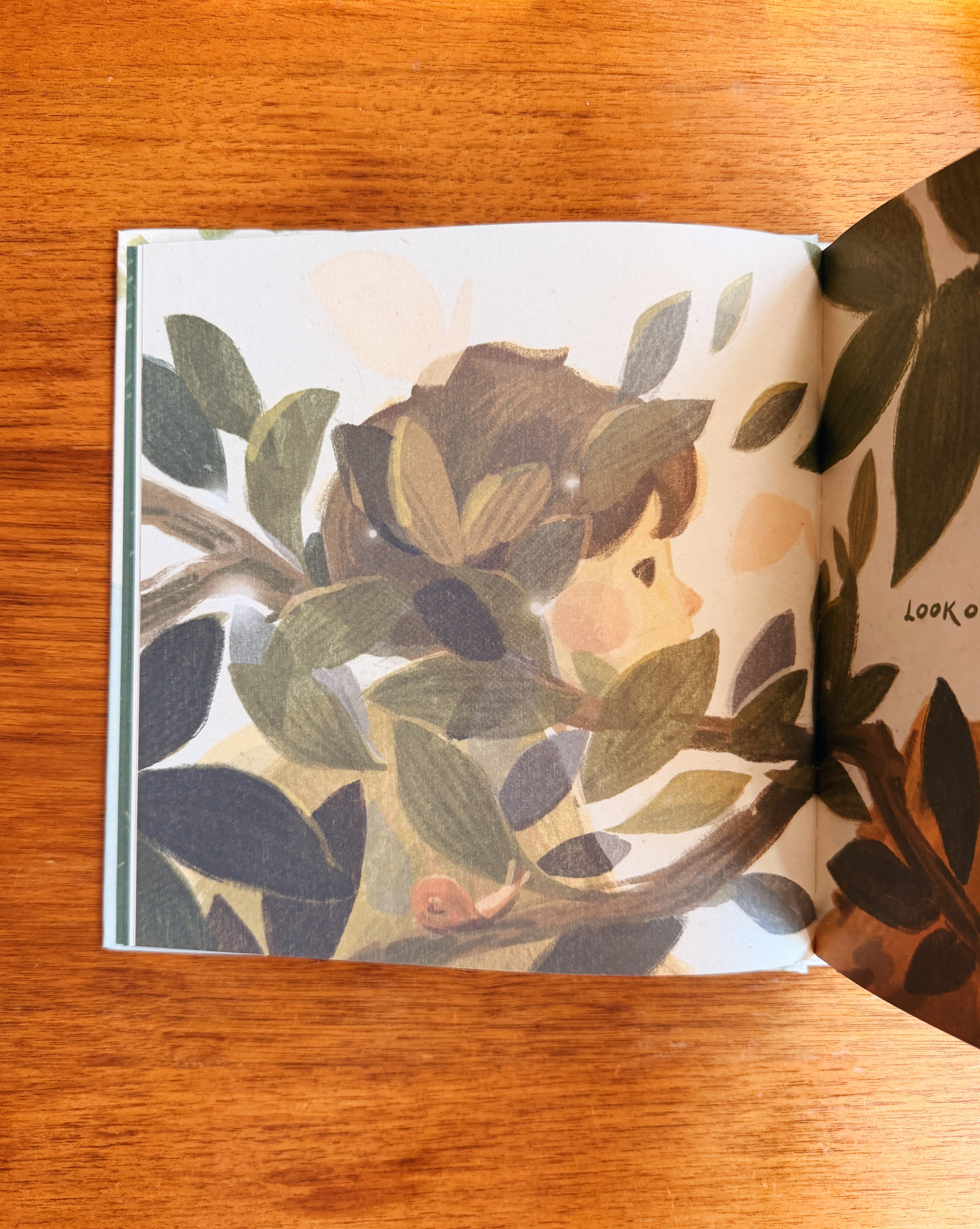 Treasure Everywhere Book