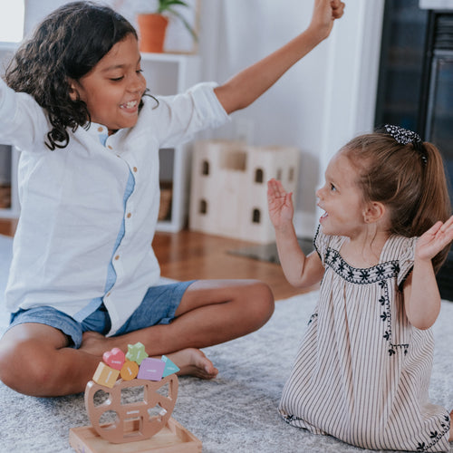 Wooden Toy Bundle • Gujarati | Hindi