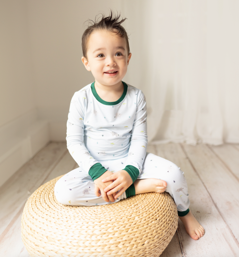 Two Piece Pajamas in Elephant