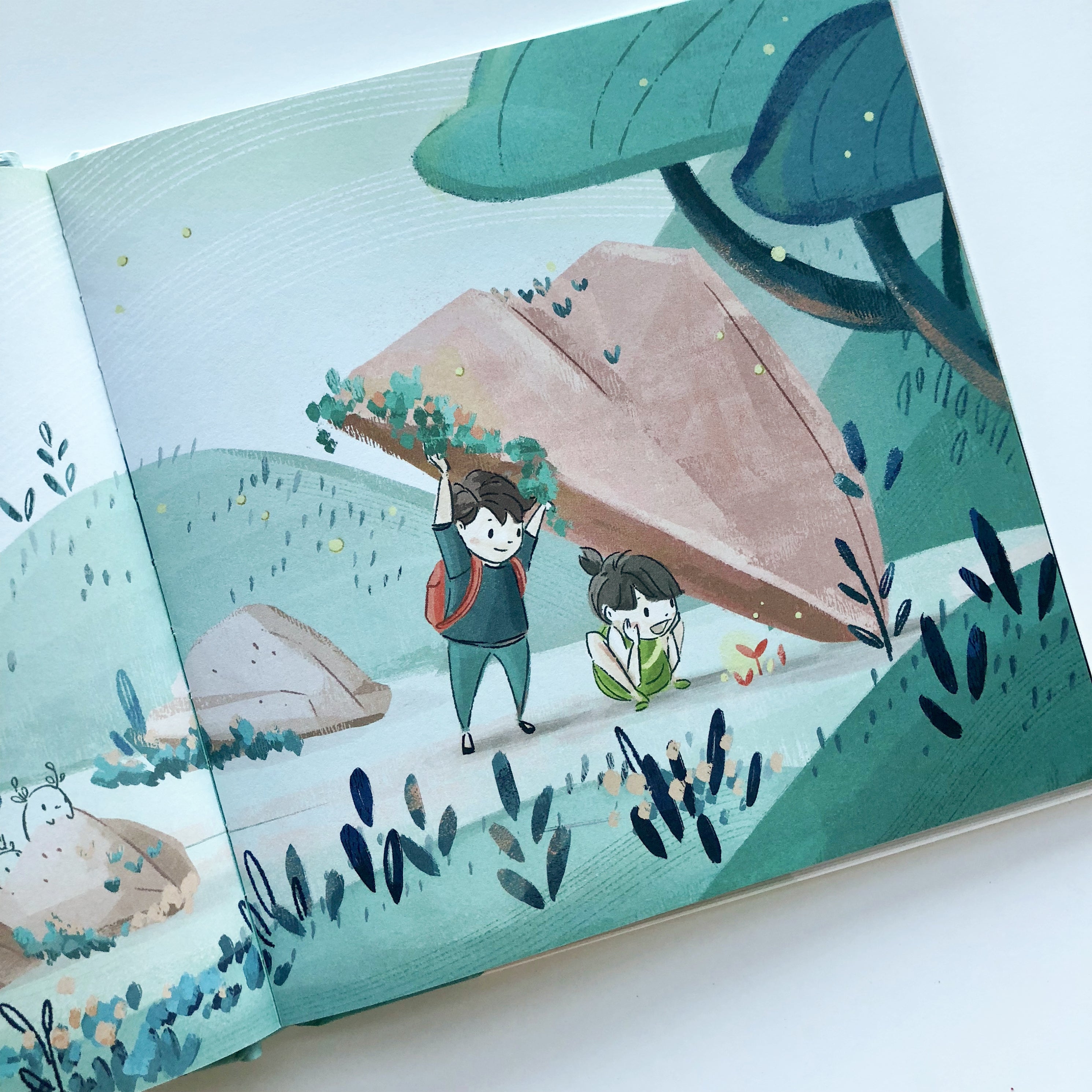 Let's Go Explore | Mimochai Book