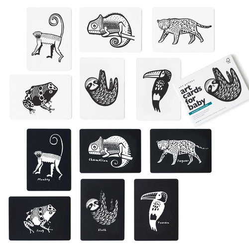 Art Cards for Baby - Rainforest Collection - Cultr. by Created for Culture asianowned aapimarketplace asianownedkids asianownedkidsproducts asianownedbrands