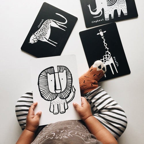 Newborn Baby Gift Set - Safari - Cultr. by Created for Culture asianowned aapimarketplace asianownedkids asianownedkidsproducts asianownedbrands