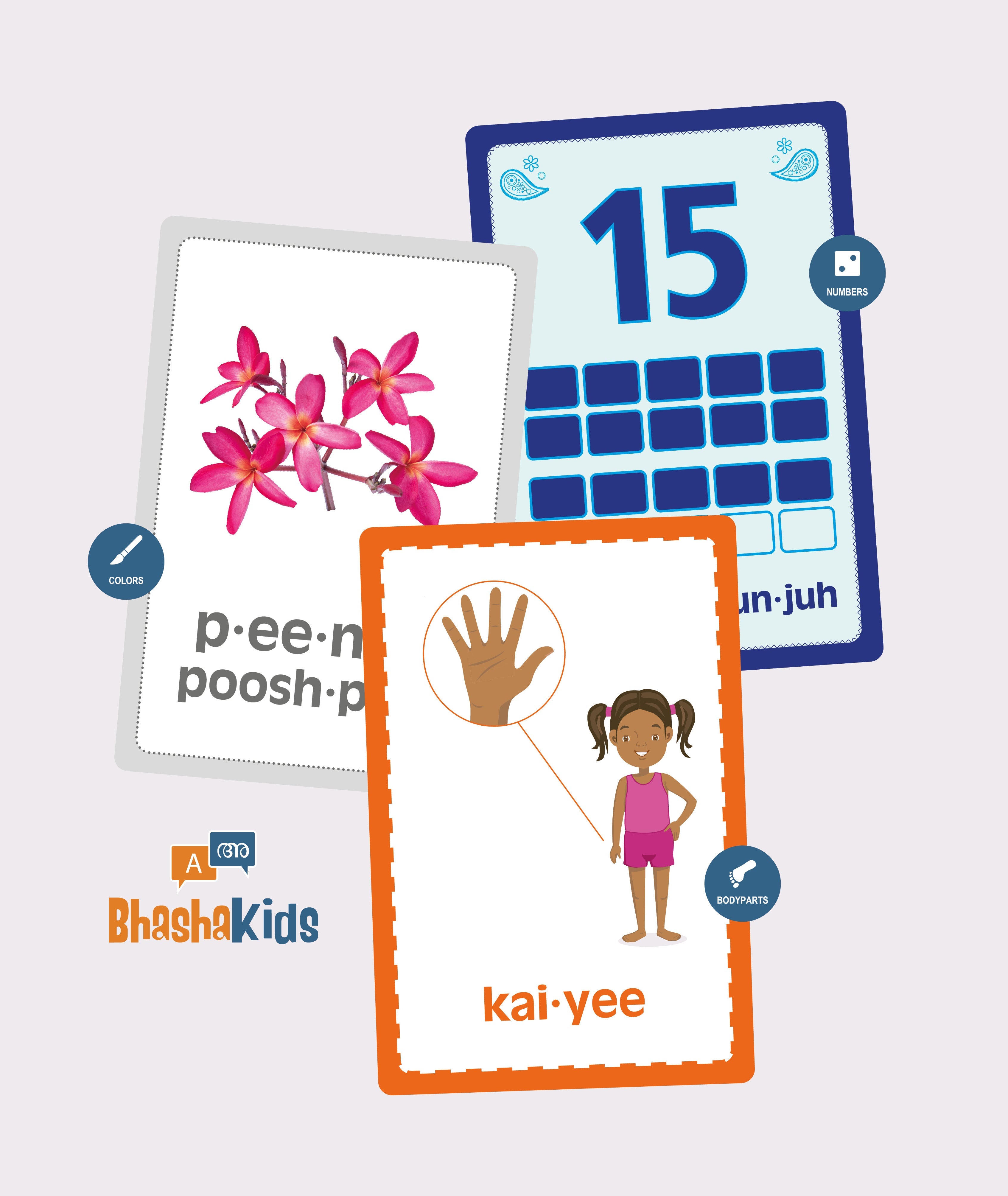 Malayalam Language Set | Malayalam English Flashcards