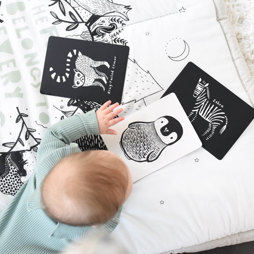 Art Cards for Baby - Black and White Collection - Cultr. by Created for Culture asianowned aapimarketplace asianownedkids asianownedkidsproducts asianownedbrands