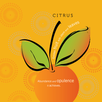 Doubly Lucky: The Auspicious Life - Cultr. by Created for Culture asianowned aapimarketplace asianownedkids asianownedkidsproducts asianownedbrands