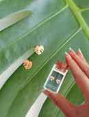 Custom Etched Propagation Stand + 3 Set Tiny Houseplant Earring Studs