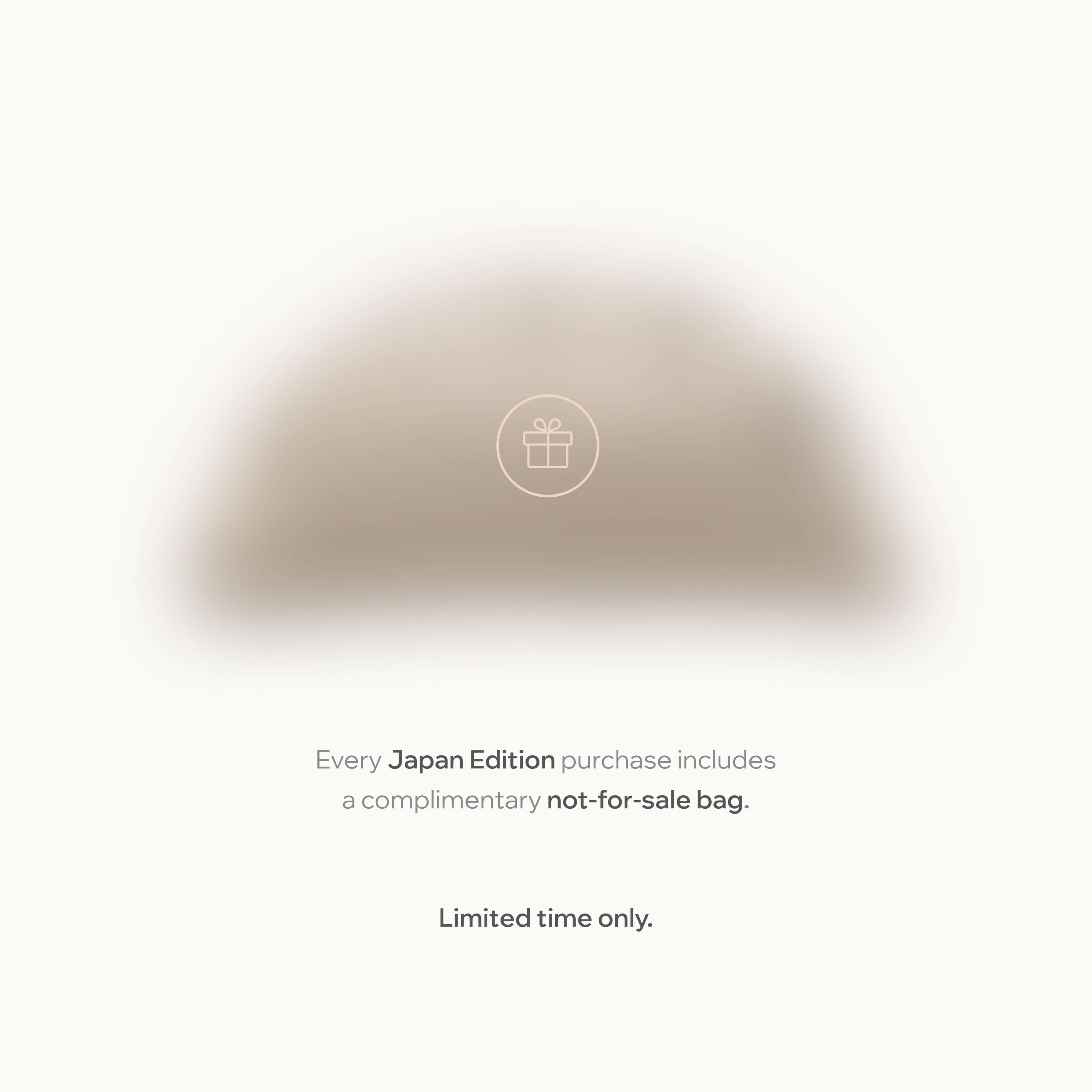 Japan Expandable Carry-On