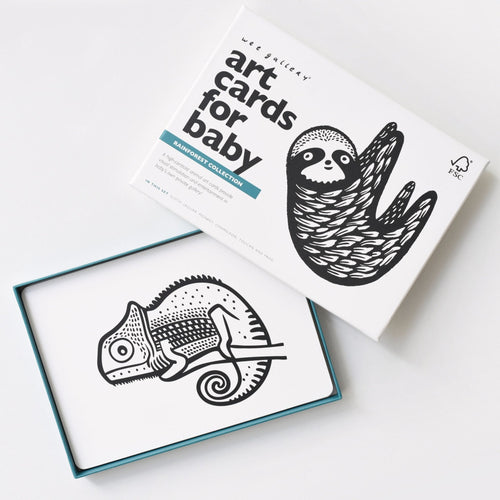 Art Cards for Baby - Rainforest Collection - Cultr. by Created for Culture asianowned aapimarketplace asianownedkids asianownedkidsproducts asianownedbrands