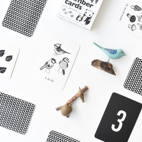 Nature Number Cards - Cultr. by Created for Culture asianowned aapimarketplace asianownedkids asianownedkidsproducts asianownedbrands