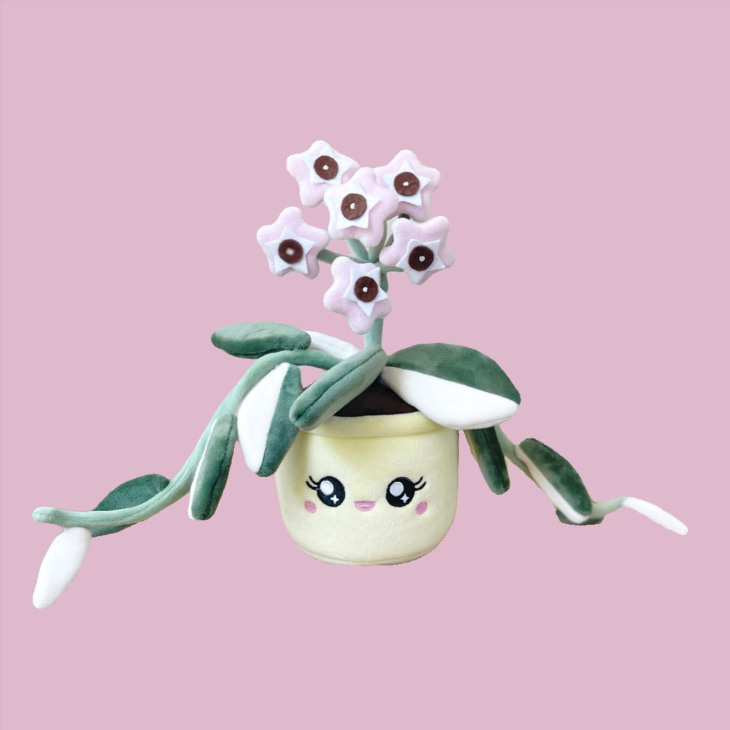 Hoya Carnosa Krimson Queen Plushie