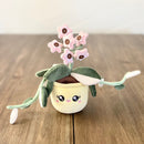 Hoya Carnosa Krimson Queen Plushie