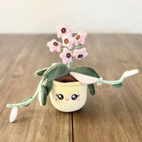 Hoya Carnosa Krimson Queen Plushie