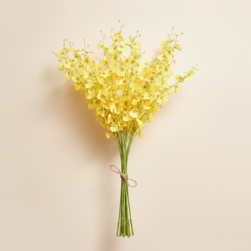Yellow Dancing Orchid Flowers 10 stems on clean warm ivory background, zero shadows — Bo & Mei editorial product photo