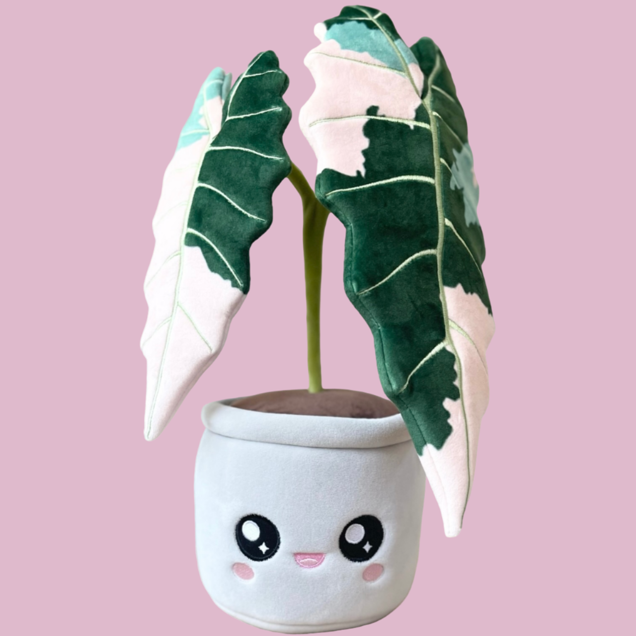 Variegated Alocasia Amazonica Plushie