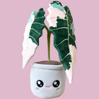 Variegated Alocasia Amazonica Plushie