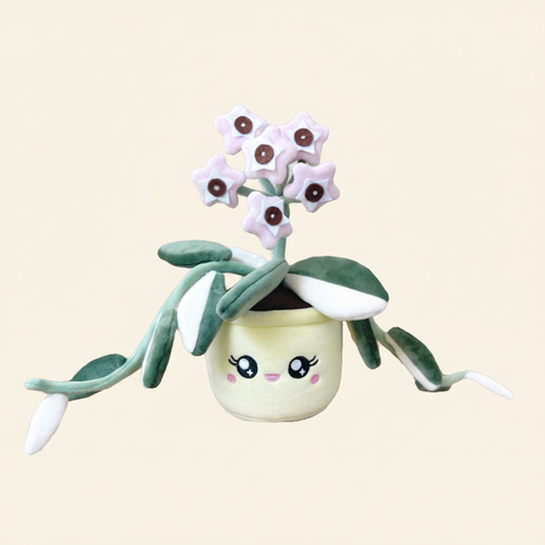 Hoya Carnosa Krimson Queen Plushie on clean warm ivory background, zero shadows — Blushiez editorial product photo