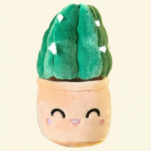 Cuddly Cactus Plush Keychain on clean warm ivory background, zero shadows — Blushiez editorial product photo