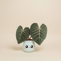 Philodendron Gloriosum Plushie