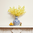 Yellow Dancing Orchid Flowers (10 stems) on ivory background