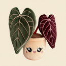 Anthurium Red Crystallinum Plushie on clean warm ivory background, zero shadows — Blushiez editorial product photo