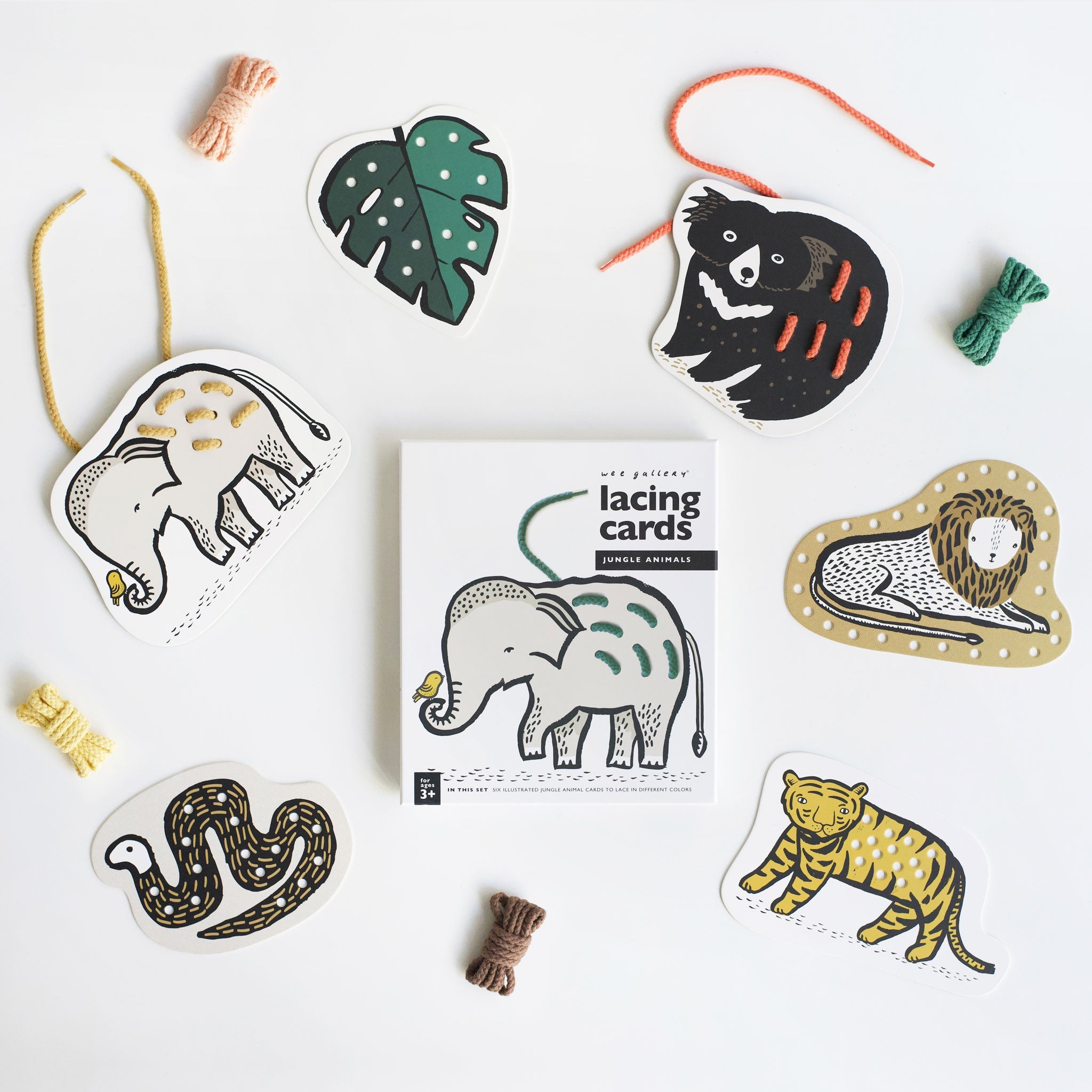 Wild Adventure Bundle - Cultr. by Created for Culture asianowned aapimarketplace asianownedkids asianownedkidsproducts asianownedbrands