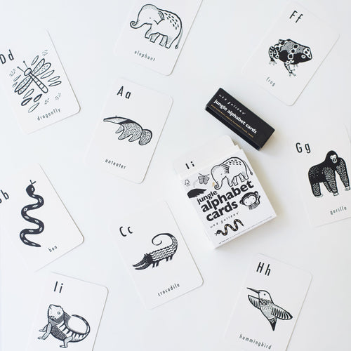Jungle Alphabet Cards - Cultr. by Created for Culture asianowned aapimarketplace asianownedkids asianownedkidsproducts asianownedbrands