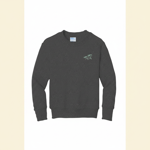 Lunar New Year Horse Youth Fleece Sweatshirt Hero