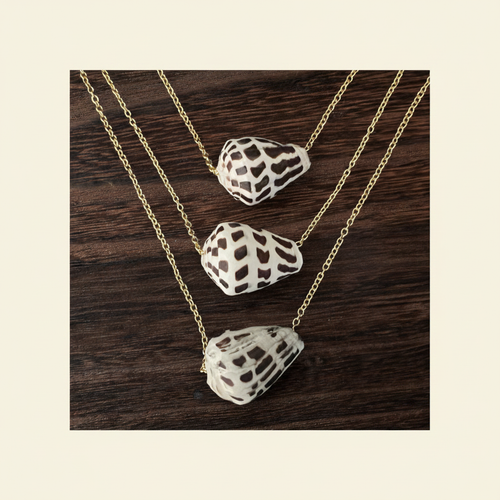Minimalist Floating Hebrew Cone Shell Necklace Hero