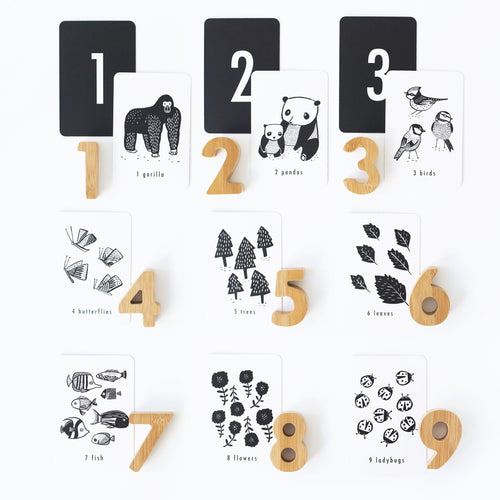 Nature Number Cards - Cultr. by Created for Culture asianowned aapimarketplace asianownedkids asianownedkidsproducts asianownedbrands