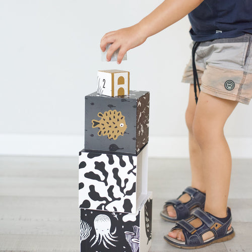 Nesting Blocks - Ocean Animals - Cultr. by Created for Culture asianowned aapimarketplace asianownedkids asianownedkidsproducts asianownedbrands