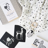 Newborn Baby Gift Set - Baby Animals - Cultr. by Created for Culture asianowned aapimarketplace asianownedkids asianownedkidsproducts asianownedbrands