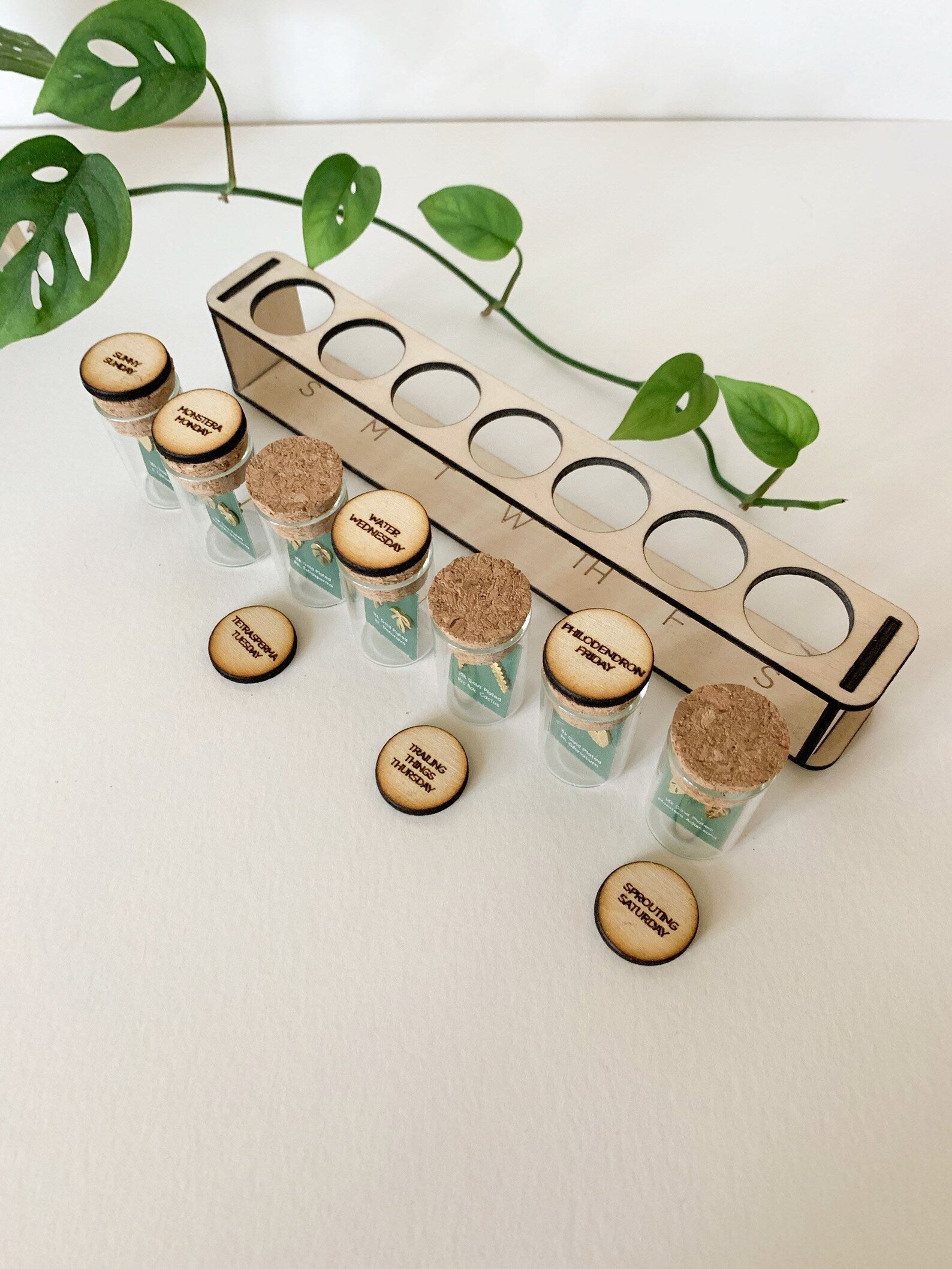 Custom Etched Propagation Stand + 3 Set Tiny Houseplant Earring Studs