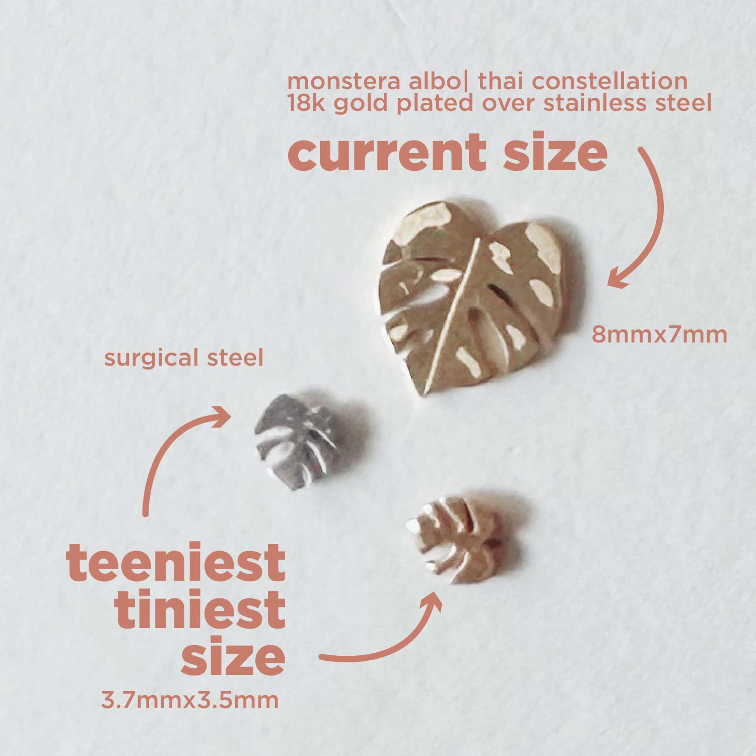 Flat Back- Teeniest Tiniest Monstera Deliciosa Earring Studs