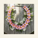 Thick Ti Leaf Money Lei Closed Hero